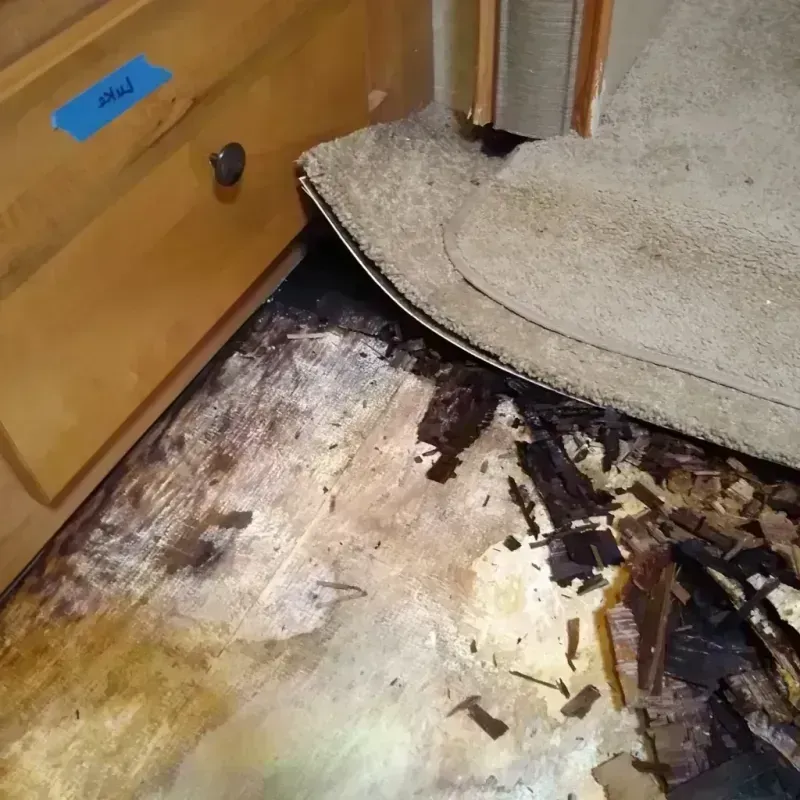 Wood Floor Water Damage in King City, CA